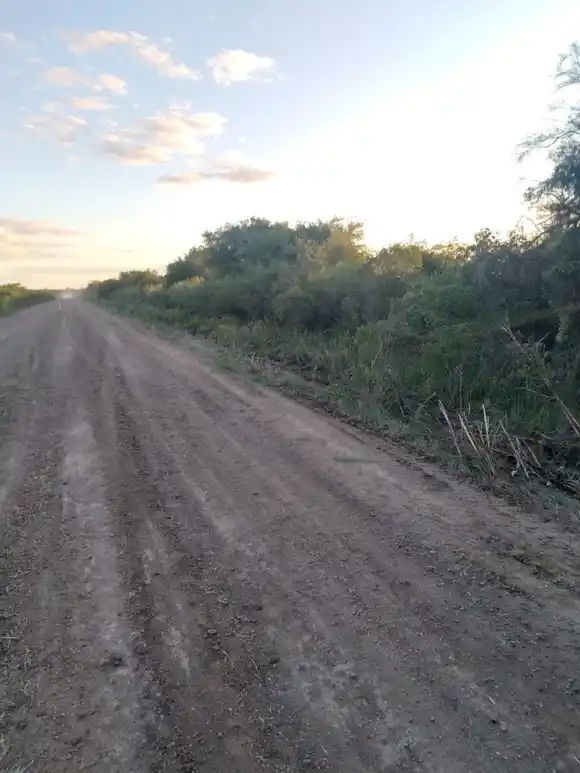 Hallan restos óseos en Rosario del Tala y sospechan que pertenecen al remisero Martín Palacio