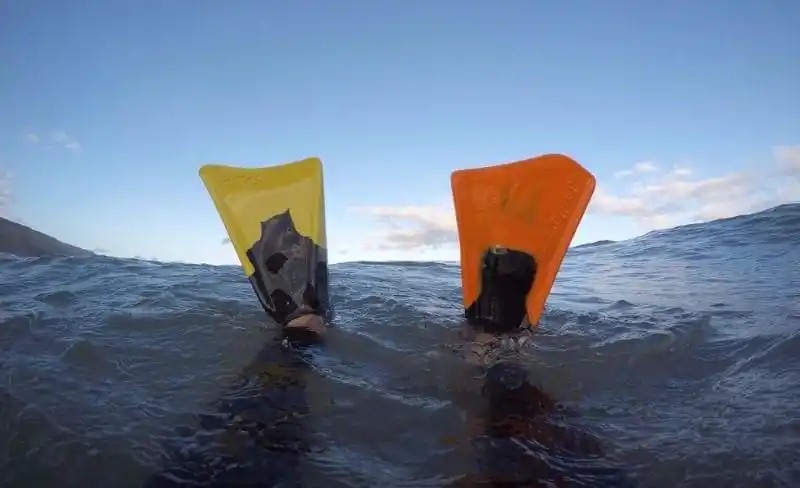 Un marplatense sacó la mejor foto del mundo