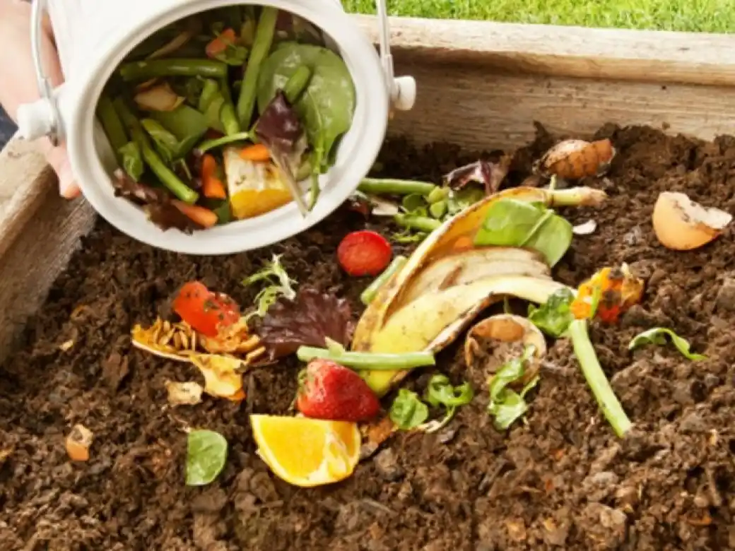 reciclaje. El compost permite nutrir los suelos y disminuir la cantidad de basura