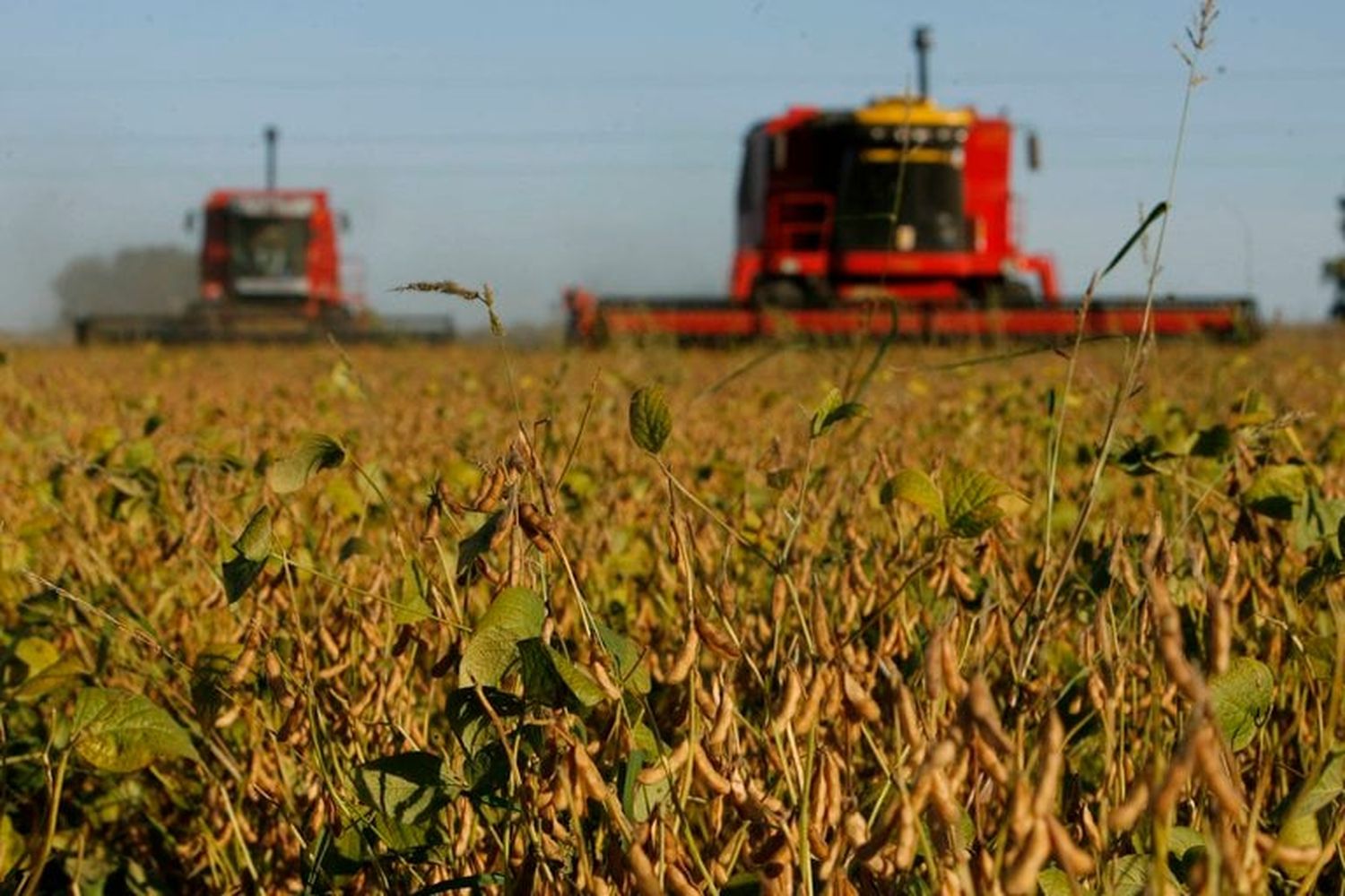 El Gobierno recibe al sector agroindustrial para dialogar sobre el plan para aumentar exportaciones