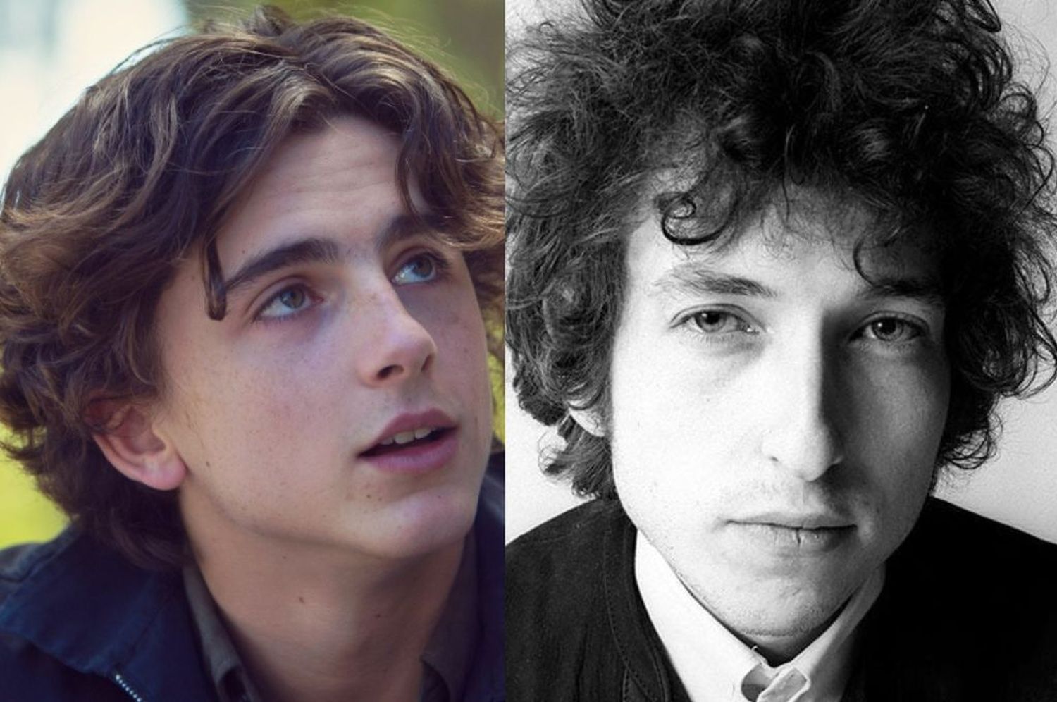 Timothée Chalamet protagonizará la nueva biopic en honor a Bob Dylan