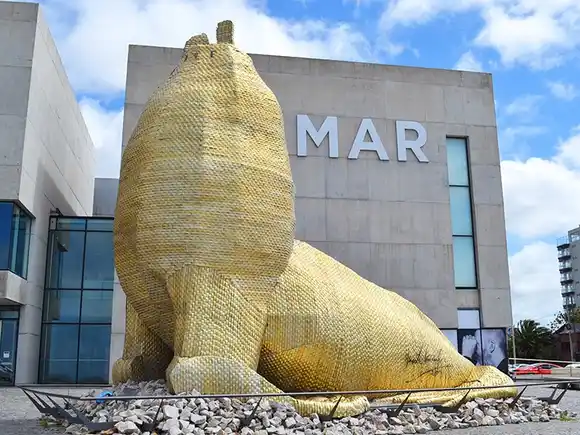 Conocé la variada agenda en el Museo MAR