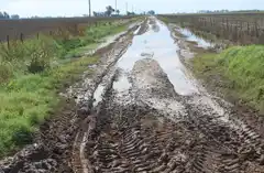 Azul: debaten un proyecto para que los vecinos mantengan los caminos rurales