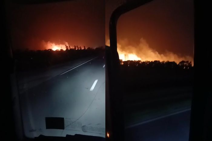 Un incendio afectó un campo de trigo sobre la Ruta 70 en zona rural de Roca - 1
