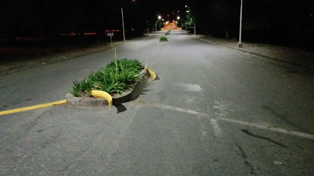 Una vez más, reductores de velocidad fueron vandalizados