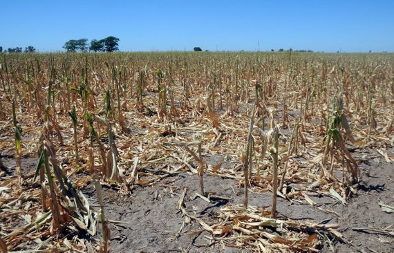 Productores afectados por la sequía podrán acceder a beneficios que otorga Nación
