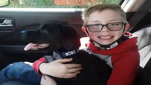 Niño de 12 años vende sus cartas de Pokémon para salvar a su perro y esto es lo qué sucedió