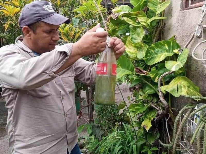 Desde el comienzo de año descendieron 
los casos de dengue en la provincia