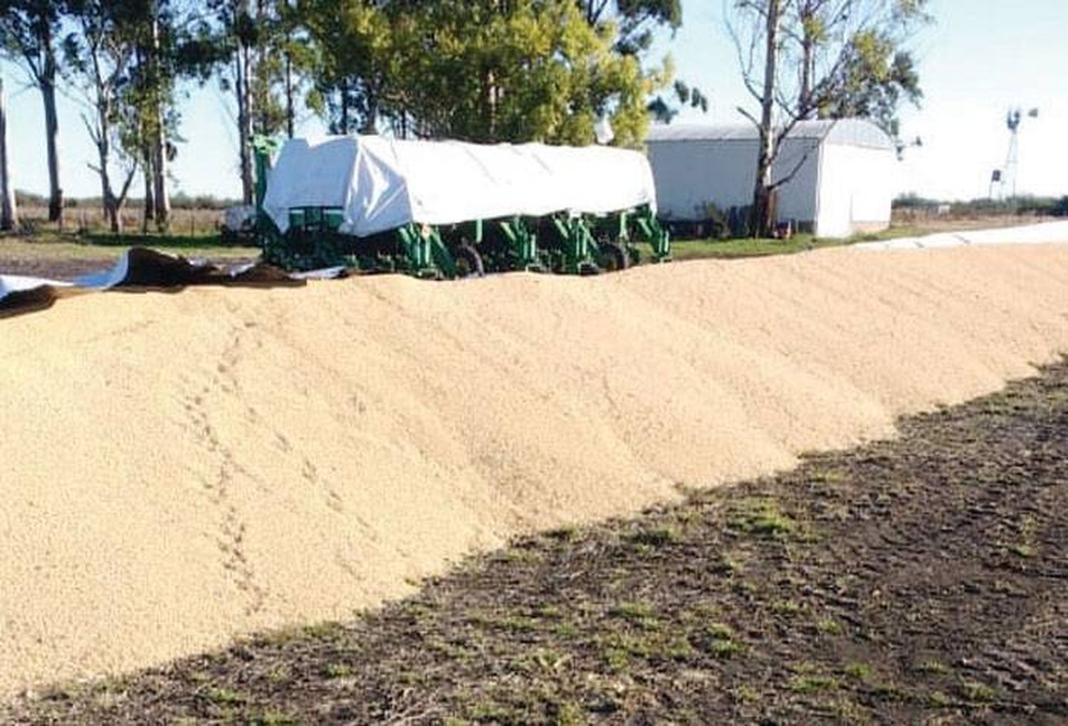 FARER condenó un nuevo ataque contra el campo  y el silencio oficial: "Es un  mensaje tendiente a consagrar la impunidad"