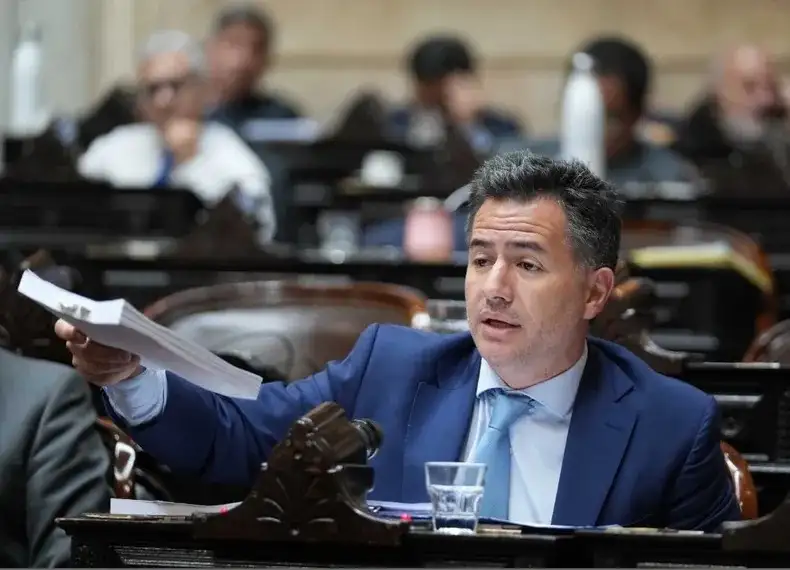 Gabriel Bornoroni, de LLA, votó a favor.
