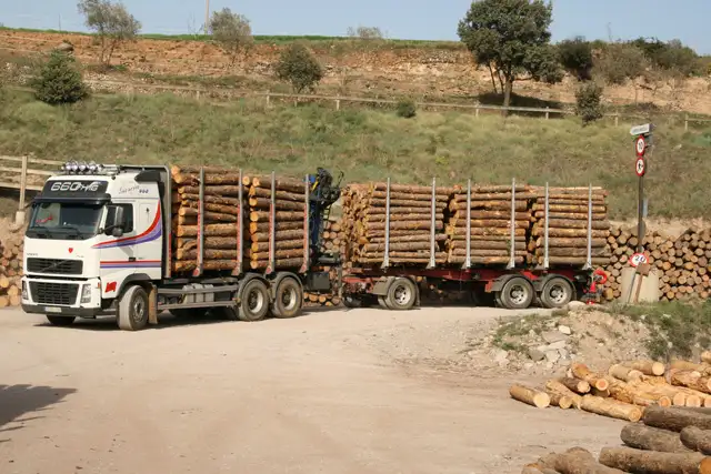 Denuncian el monopolio de la madera por parte de la pastera Botnia UPM