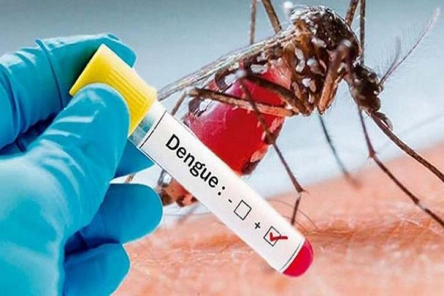 ¿ALERTA EPIDEMIOLÓGICA? 13 muertos y más de 21.000 contagiados por dengue en Colombia