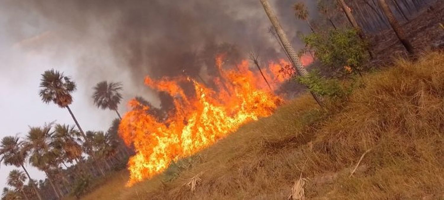 Formosa en alerta de incendios por altas temperaturas y falta de lluvia