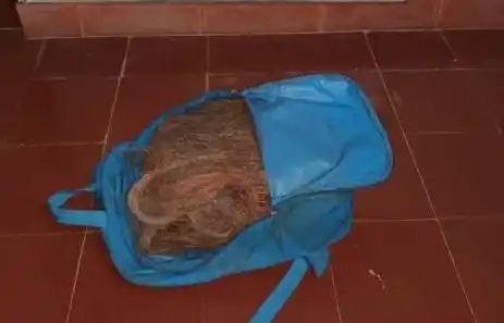 Aprehendieron a dos hombres con 20 kilos de cobre robado en Villa Cacique