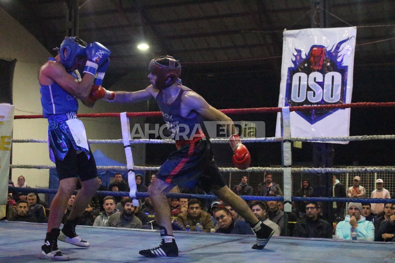 boxeo - parada - laclau - mansilla - 1