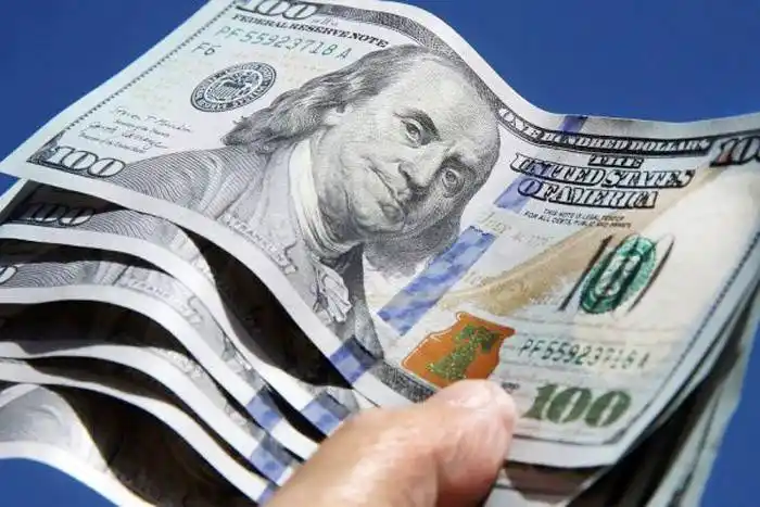 El trámite de Anses que indica si se pueden comprar dólares
