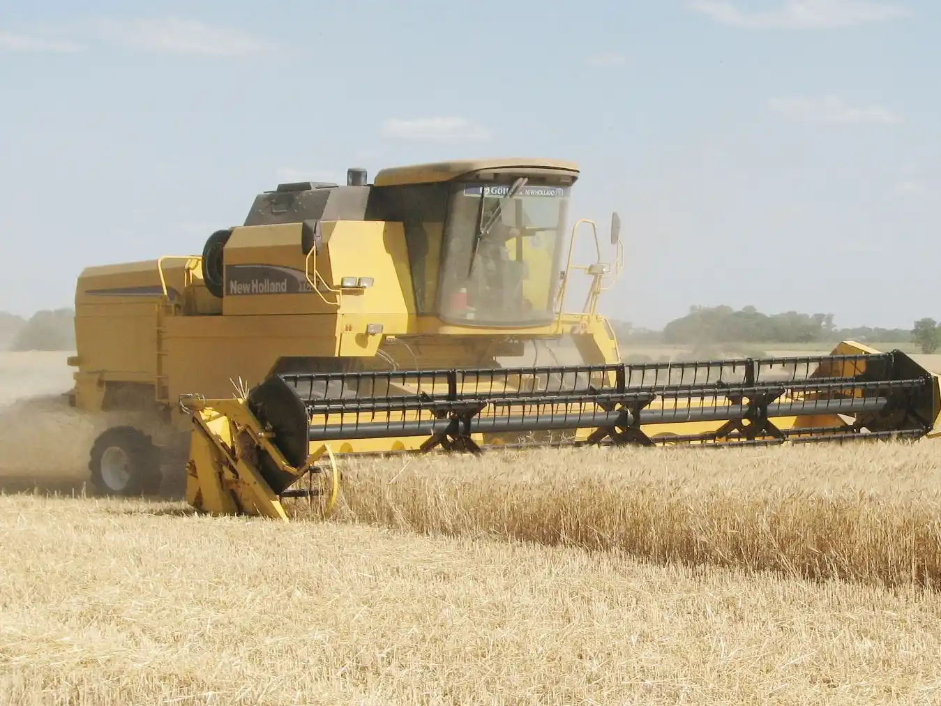 El volumen exportado por Entre Ríos creció un 19% en el primer bimestre de 2025