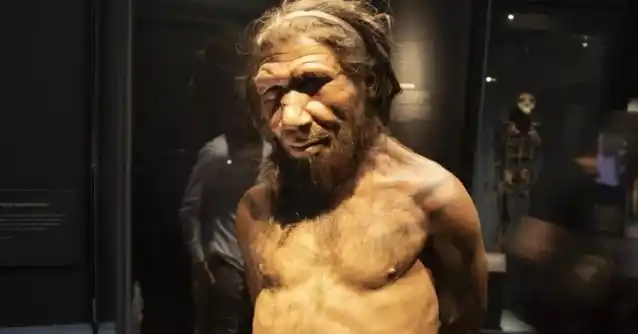 Aseguran que los neandertales tenían nociones de química
