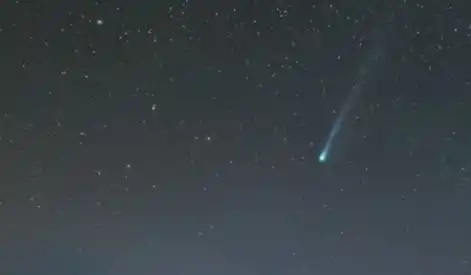 Se llama así porque tiene "forma de cuerno".