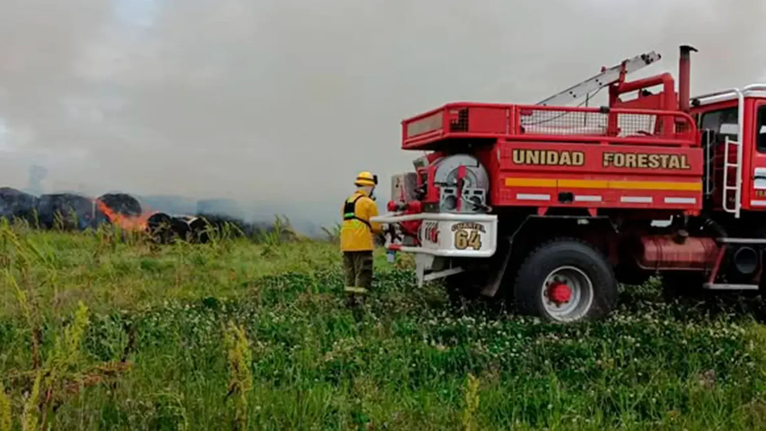 Un incendio forestal movilizó a Bomberos Voluntarios durante casi tres horas
