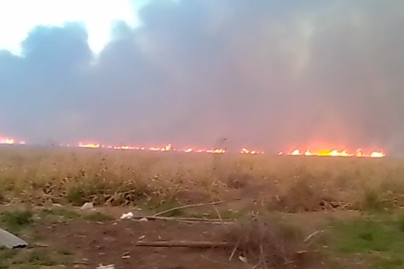 Ecocidio: por incendio en zona de Los Lobos Prefectura envió una embarcación