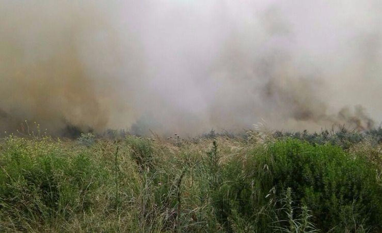 Un importante incendio destruyó 200 hectáreas en Sierra de los Padres