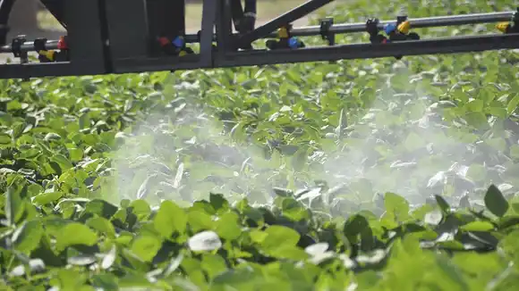 La UE renovará la autorización del uso de glifosato por 10 años