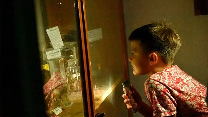 Más de 70 agentes culturales se capacitaron en gestión de Patrimonio y Museos