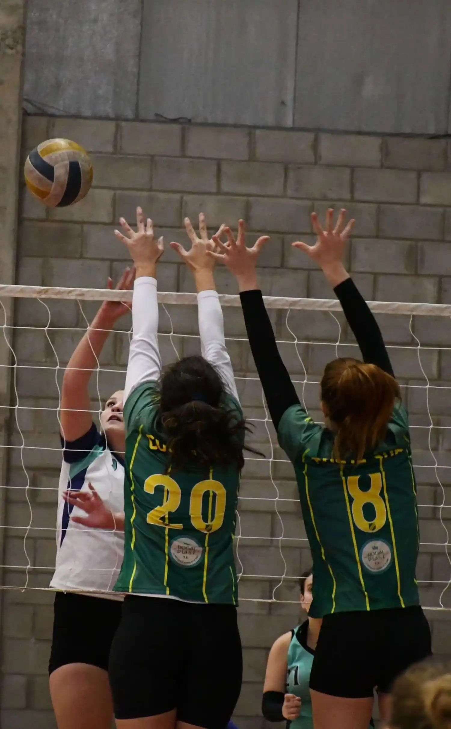 El vóley femenino se pone al día
