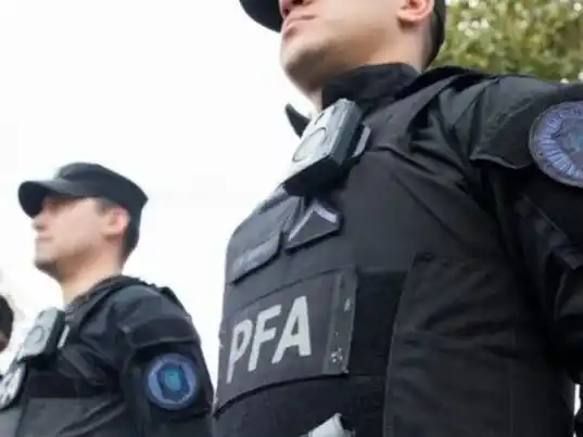 Cuáles son las reformas en la Policía Federal, punto por punto