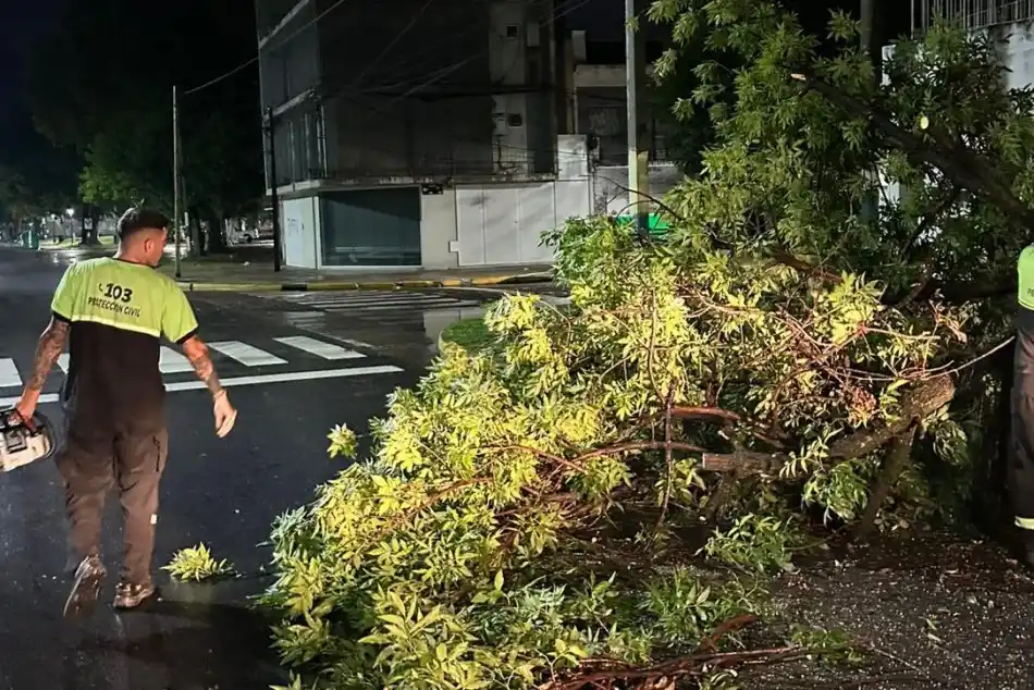 La tormenta en Rosario dejó caída de árboles, un motociclista herido y el derrumbe de un techo