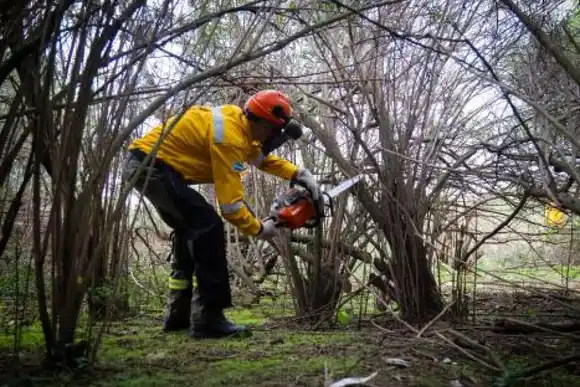 Continúan las acciones para prevenir incendios en las islas del sur provincial