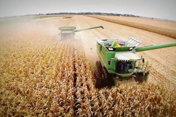 Fuerte crecimiento de las exportaciones agroindustriales