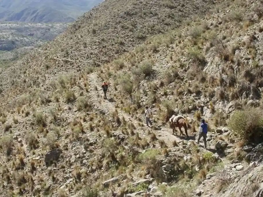 Marianito apareció con vida  2