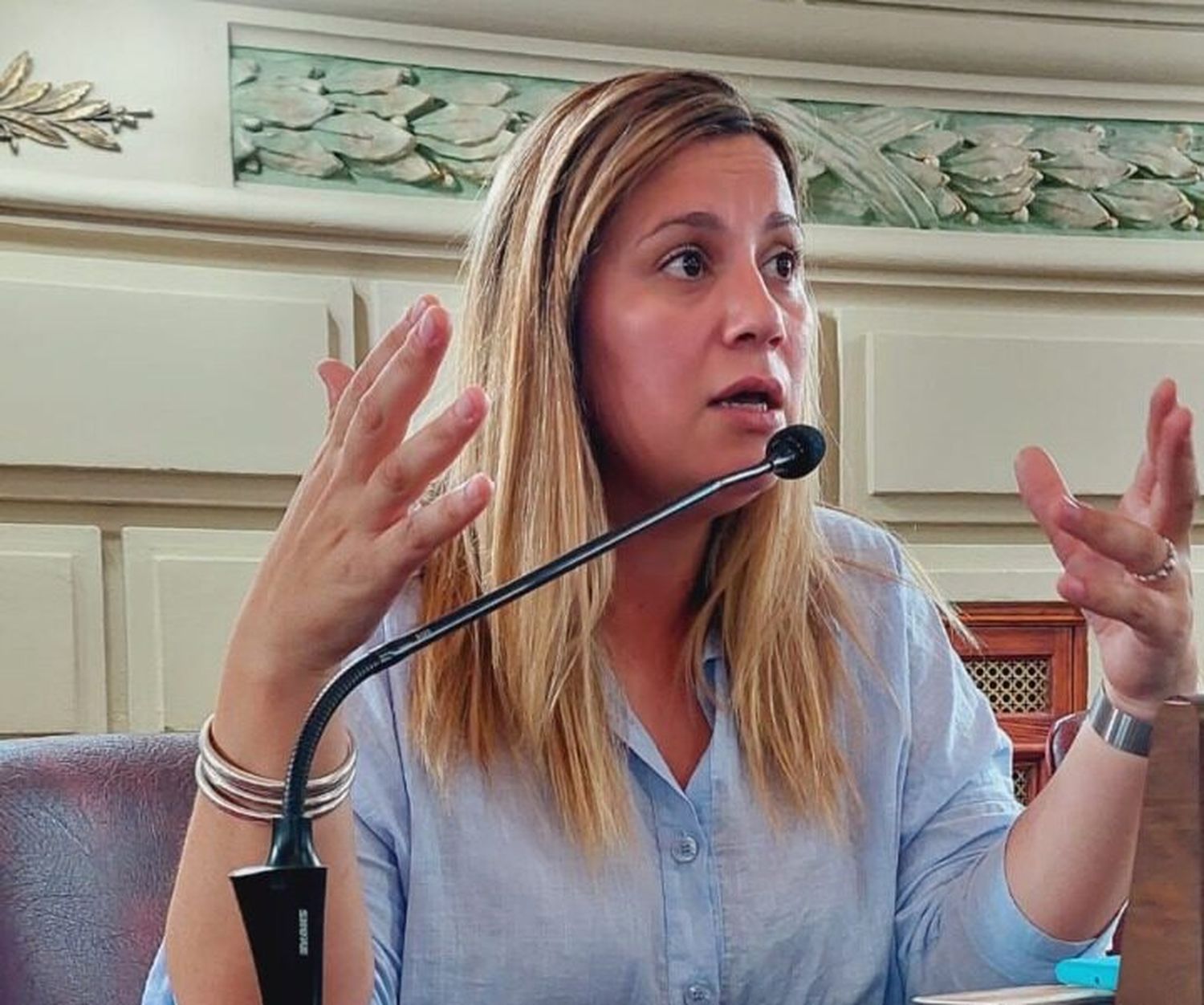 Diputados dio media sanción a dos proyectos de expropiación en beneficio de Santa Isabel