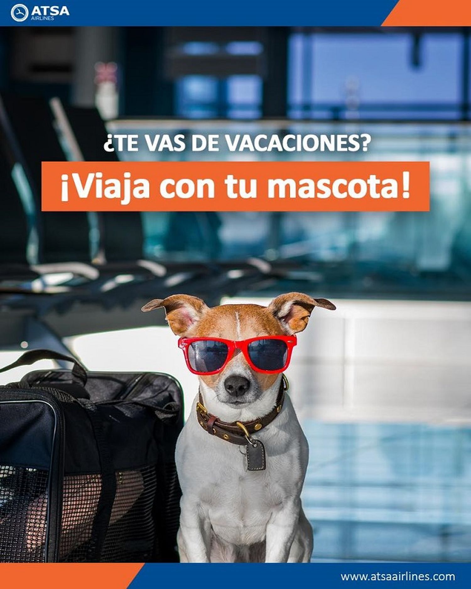 Perú: ATSA Airlines inaugura su servicio de transporte de mascotas