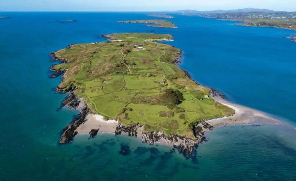 Compró una isla por 5,5 millones de euros sin verla personalmente. VIDEO