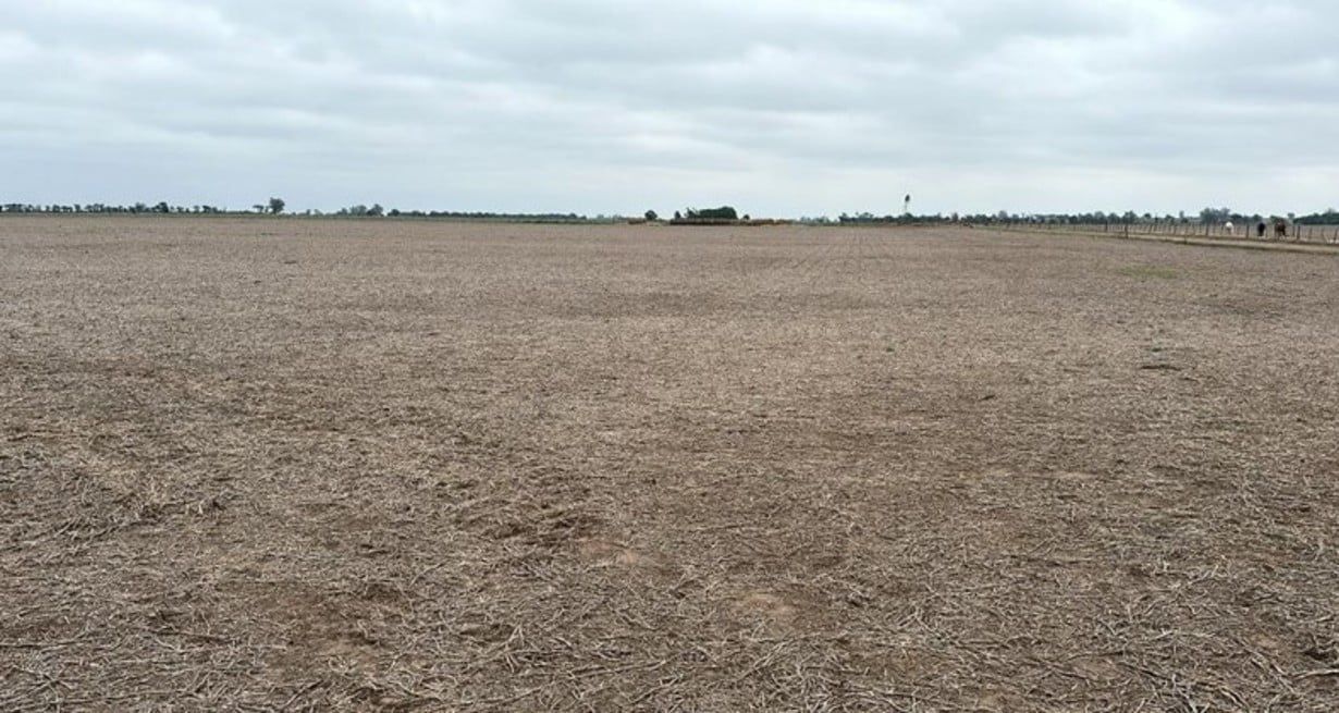 El agro empieza a sentir con fuerza la falta de agua en el centro oeste de Santa Fe.