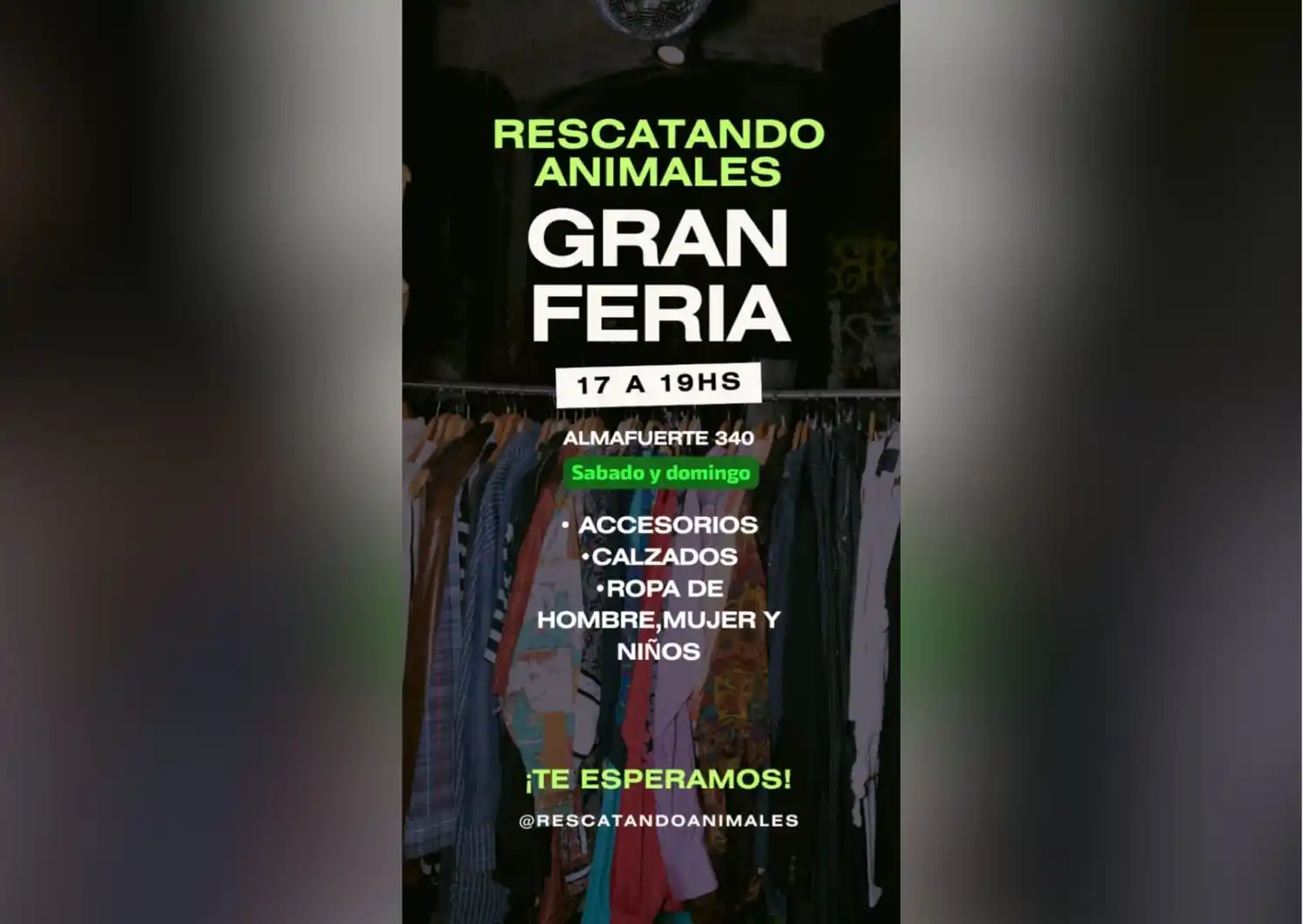 Gran feria a beneficio del grupo Rescatando Animales