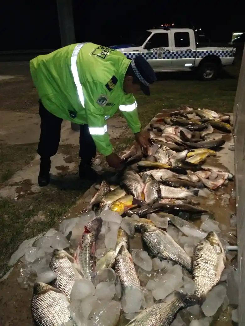 Decomisaron 60 piezas de pescados de diferentes clases