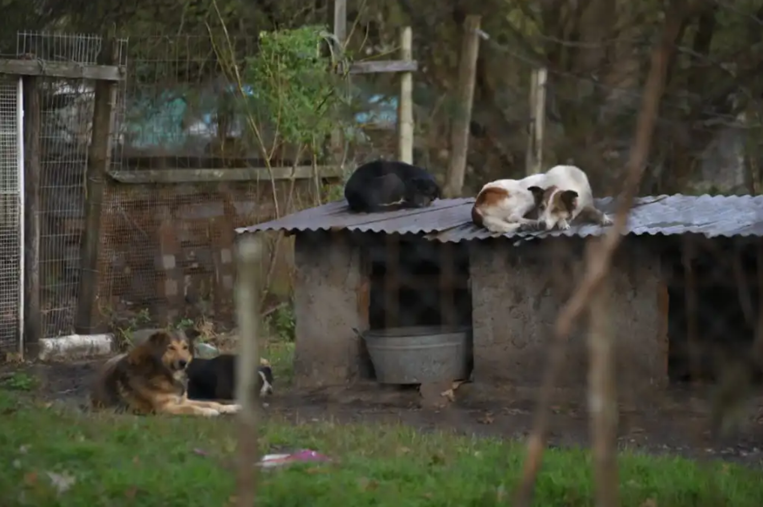 Alarmante situación en Patitas: “No tenemos ayuda del municipio y ni siquiera nos atienden”