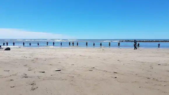 Premiaron a un marplatense que presentó un proyecto para disminuir el daño ambiental de la pesca recreativa