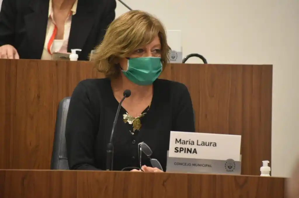 Concejo: aprueban proyecto que promueve las energías renovables