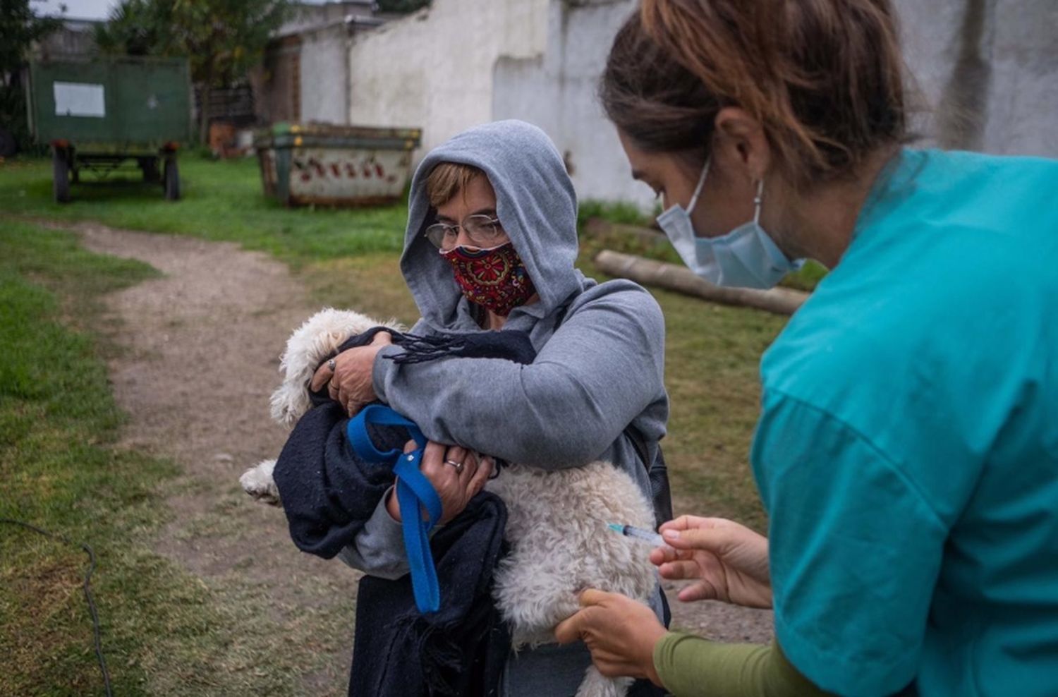 Nuevo cronograma del quirófano móvil y de la vacunación antirrábica para animales