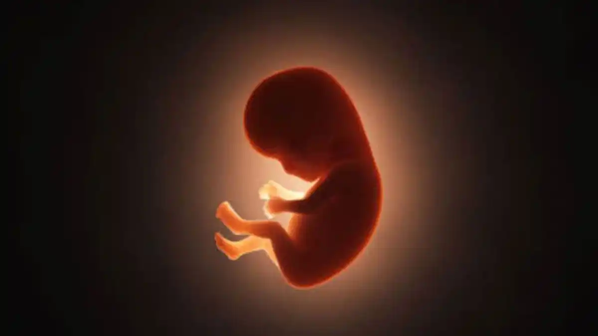 ADELANTOS DE LA CIENCIA: Por si con la Inteligencia Artificial no basta, ahora tenemos el BEBÉ DE TRES ADN