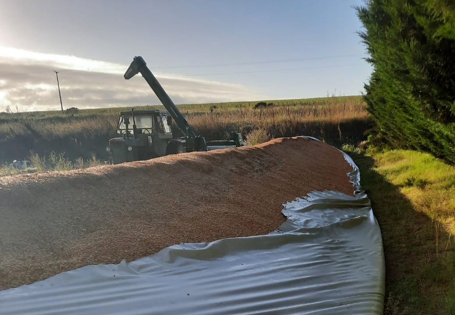 Expectativa en el sector del agro por el proyecto que penaliza el vandalismo rural