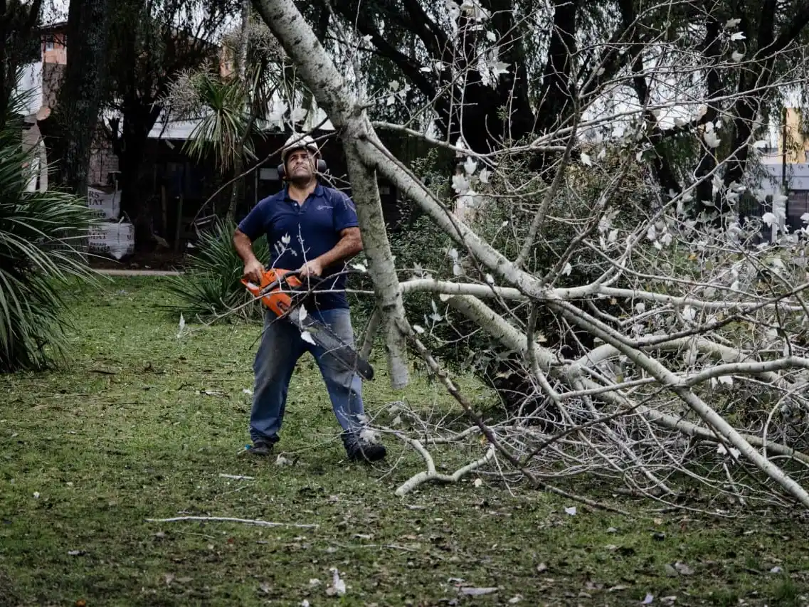 La Municipalidad de General Pueyrredon anunció la apertura de la inscripción para una nueva edición del Curso de Podador Urbano Artesanal 2026.