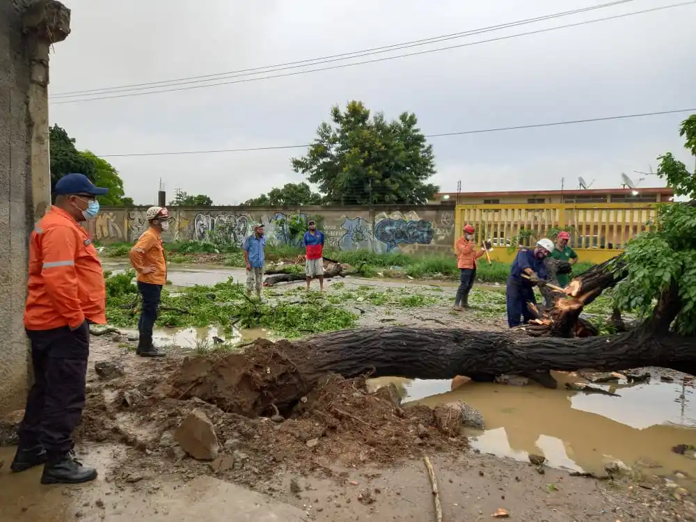 ALERTA EN LARA: varios municipios afectados tras fuertes lluvias