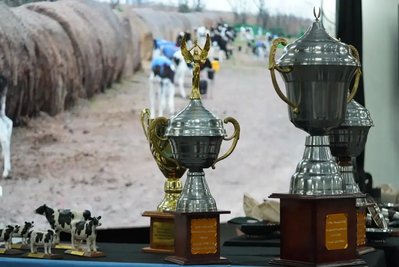 LHUAB volvió a quedarse con la Gran Campeona del Concurso de Vacas a Campo de la ExpoRural - 1