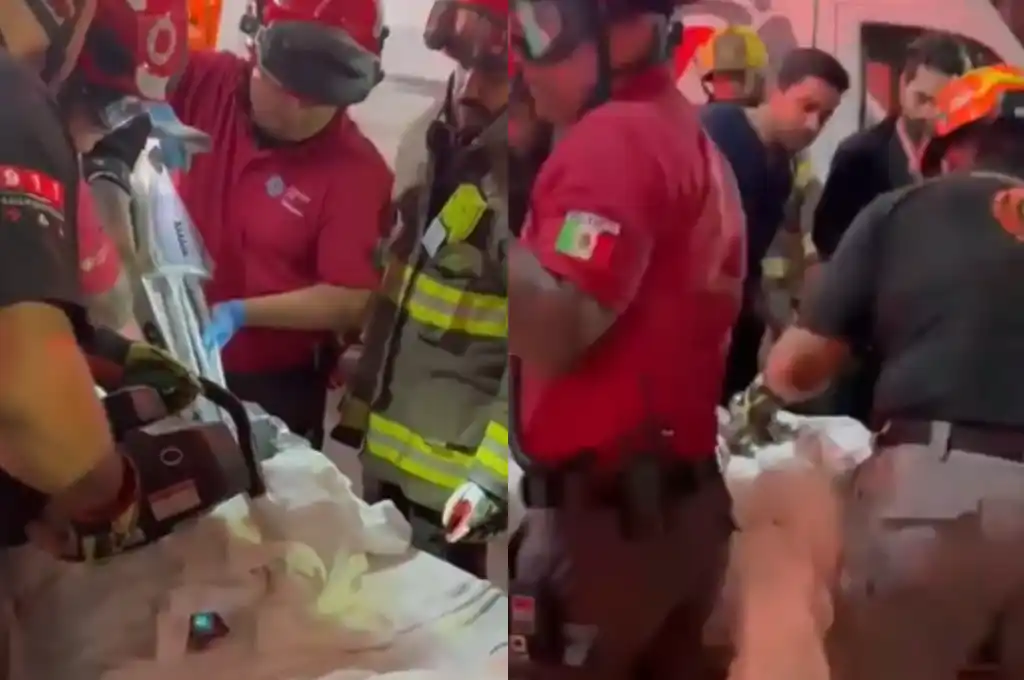 Bomberos de Nuevo León y personal médico especializado.